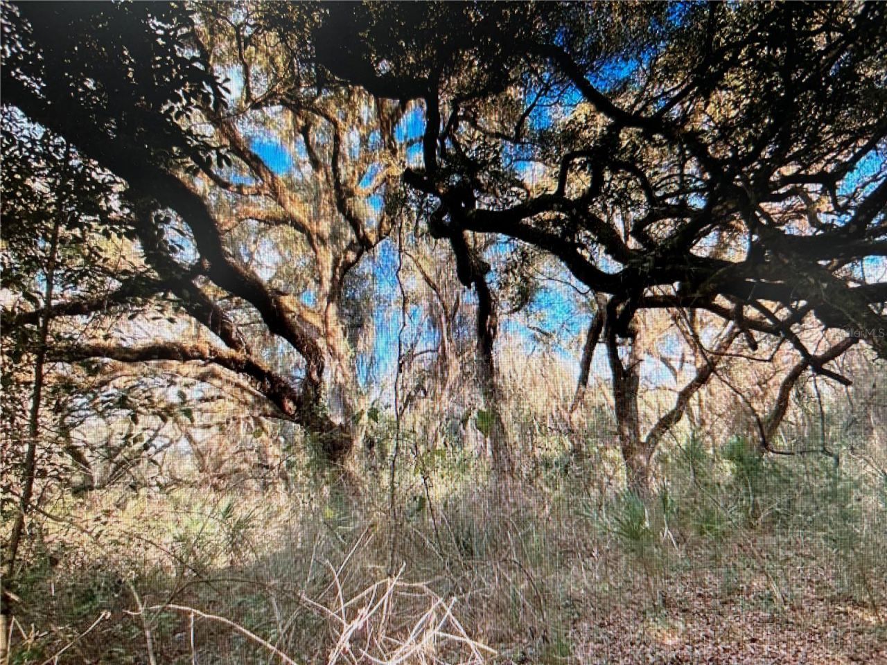 7373 E Savannah Court, Floral City, FL 34436 Photo