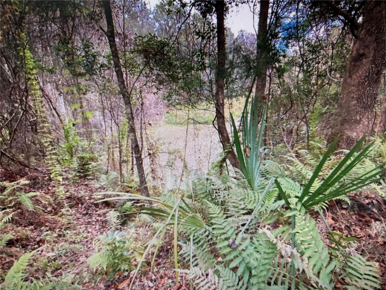 7373 E Savannah Court, Floral City, FL 34436 Photo