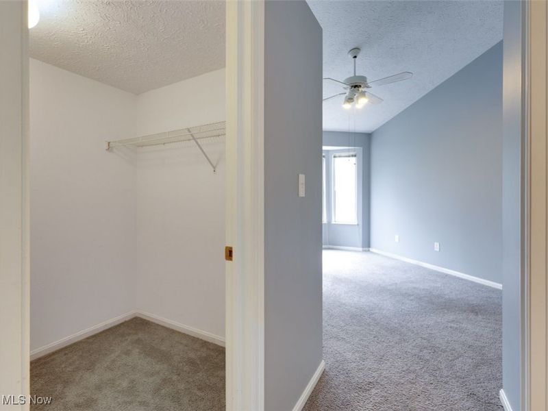 362 Village Pointe Drive, Akron, OH 44313 Photo 15