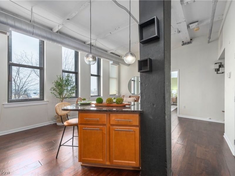 1133 W 9th Street, Unit 210, Cleveland, OH 44113 Photo 11