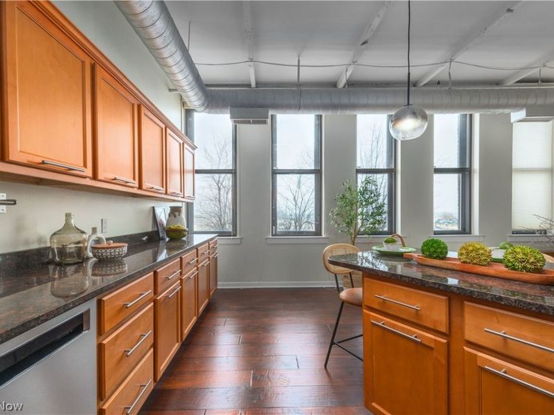 1133 W 9th Street, Unit 210, Cleveland, OH 44113 Photo 13