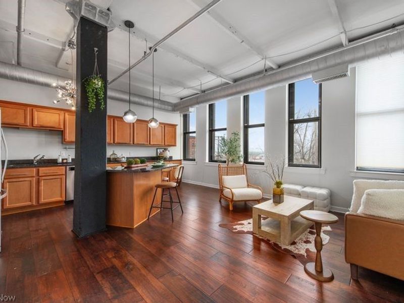 1133 W 9th Street, Unit 210, Cleveland, OH 44113 Photo 8