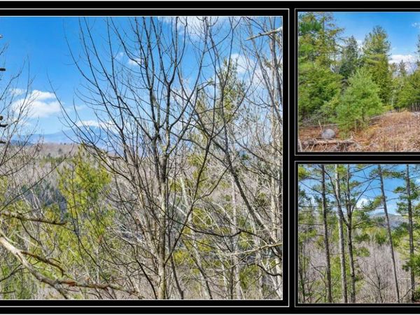 L18 Mountain Meadows Road, Adirondack, NY 12808