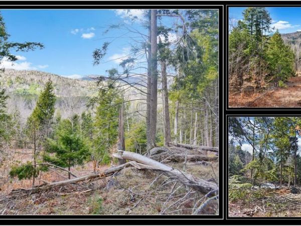 L17 Mountain Meadows Road, Adirondack, NY 12860