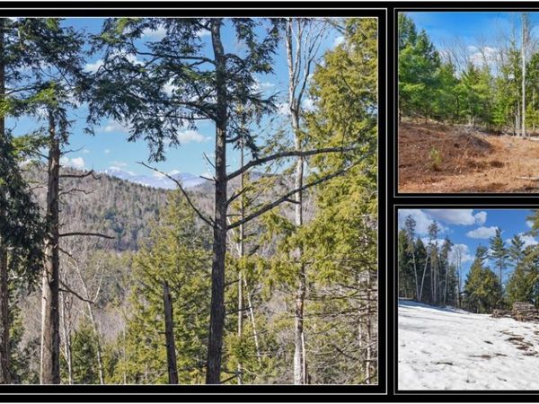 L16 Mountain Meadows Road, Adirondack, NY 12860