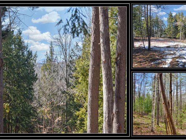 L15 Mountain Meadows Road, Adirondack, NY 12860