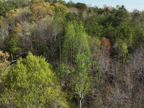 0000 County Road 675, Athens, TN 37303