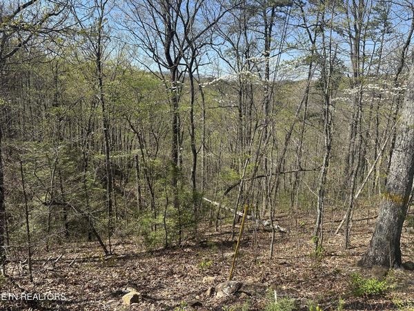 1532 Mountain Dreams Way, Pigeon Forge, TN 37862