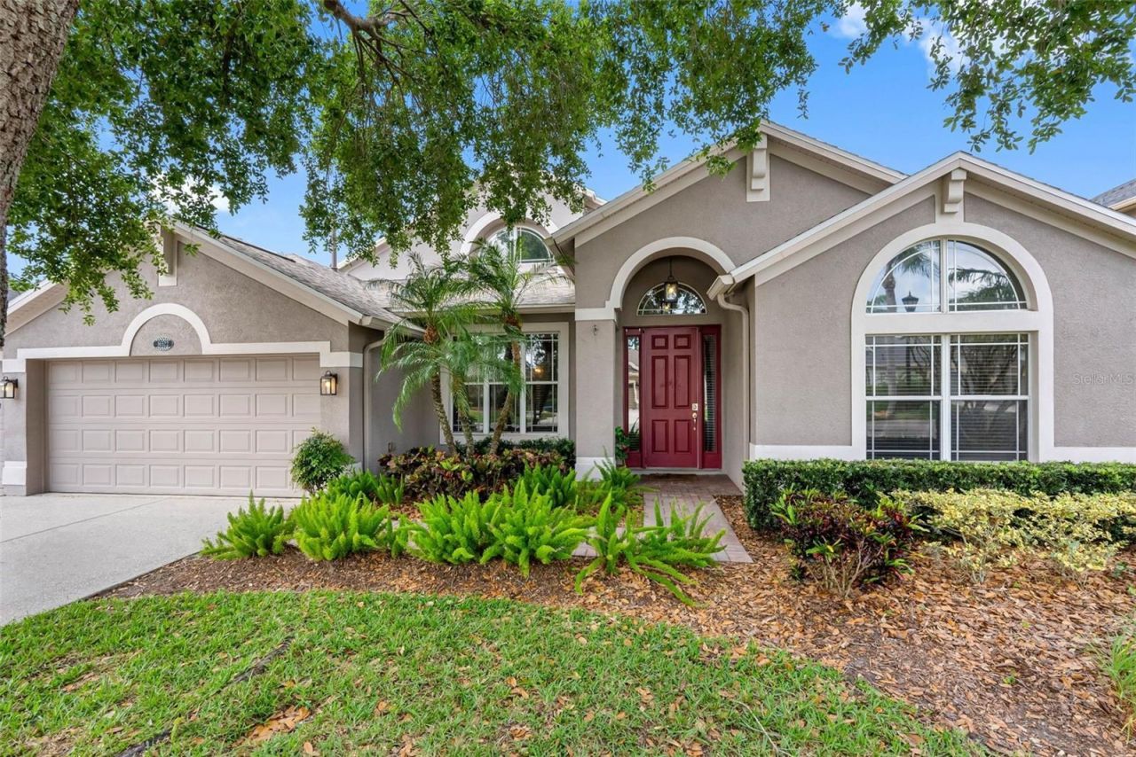 16522 Ivy Lake Drive, Odessa, FL 33556 Main Photo