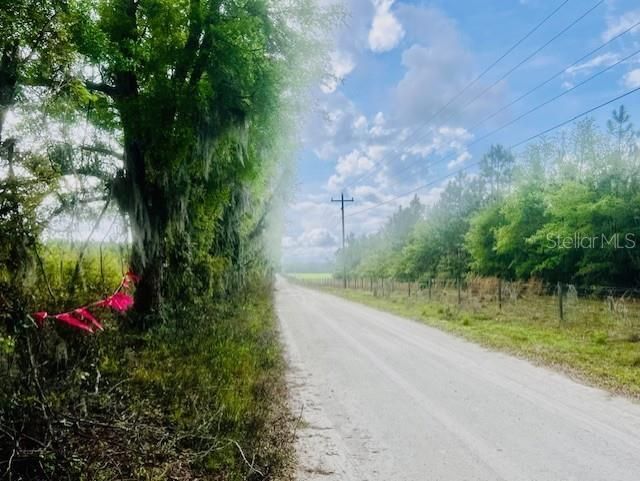 Ne 998th Avenue, Branford, FL 32008 Photo