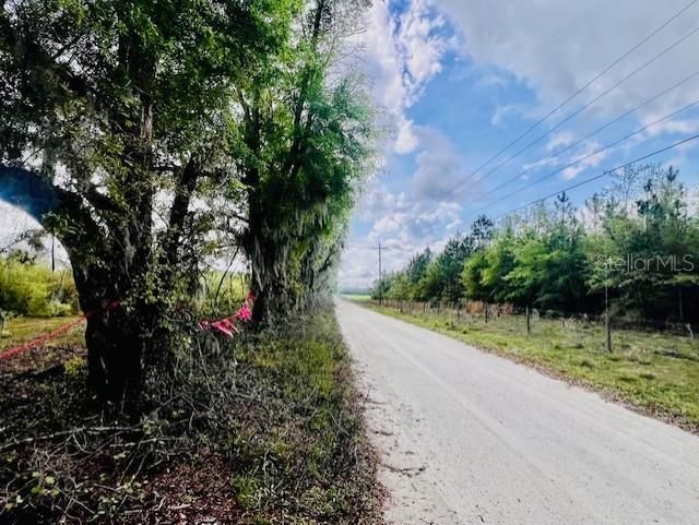 Ne 998th Avenue, Branford, FL 32008 Photo