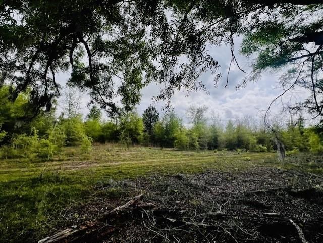 Ne 998th Avenue, Branford, FL 32008 Photo