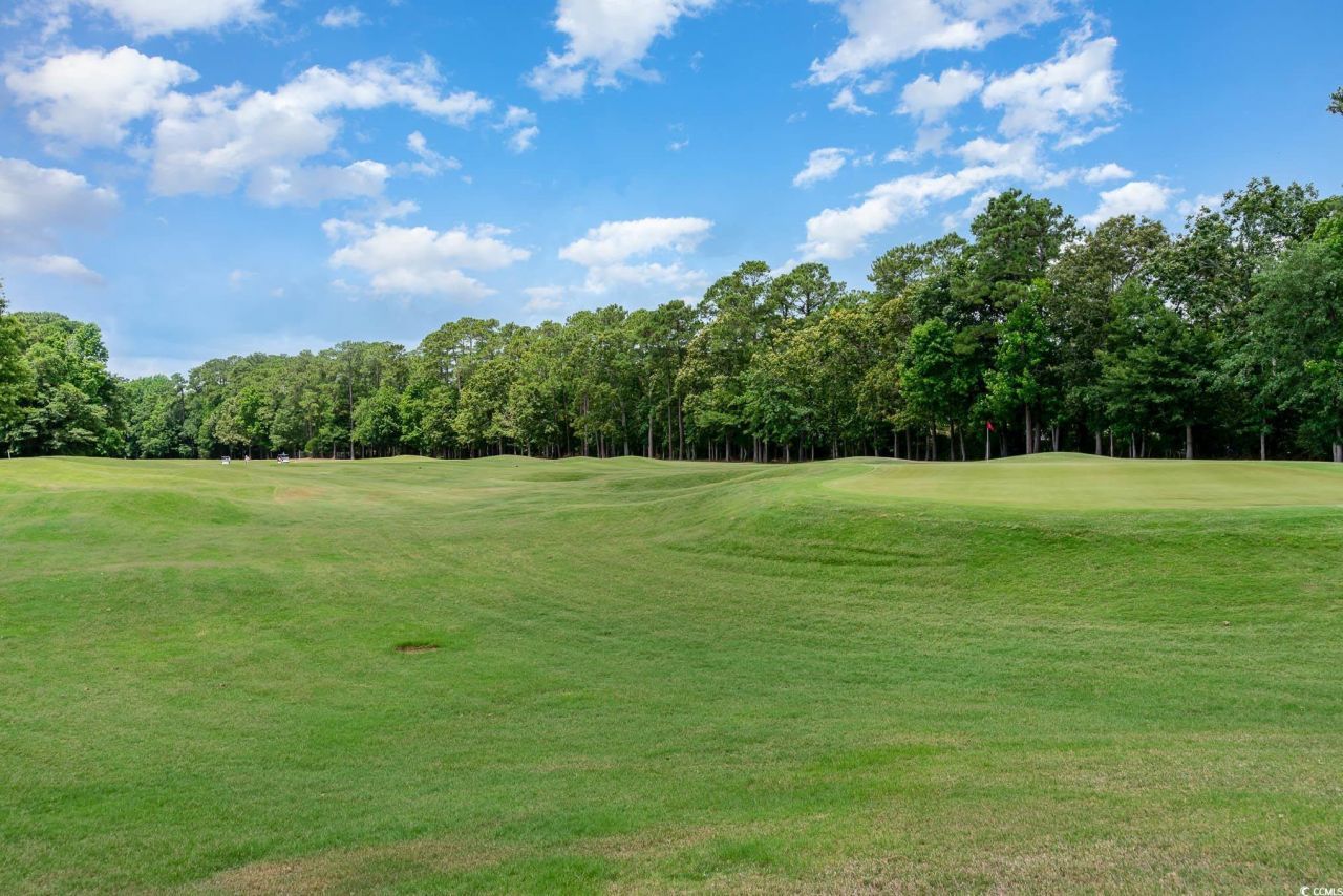 19 Pistachio Loop Photo 27