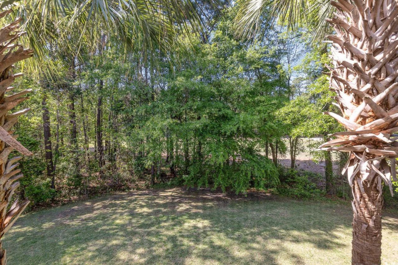 19 Pistachio Loop Photo 28