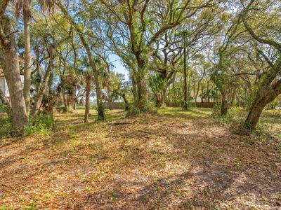 1214 B Tabby Drive, Folly Beach, SC 29439