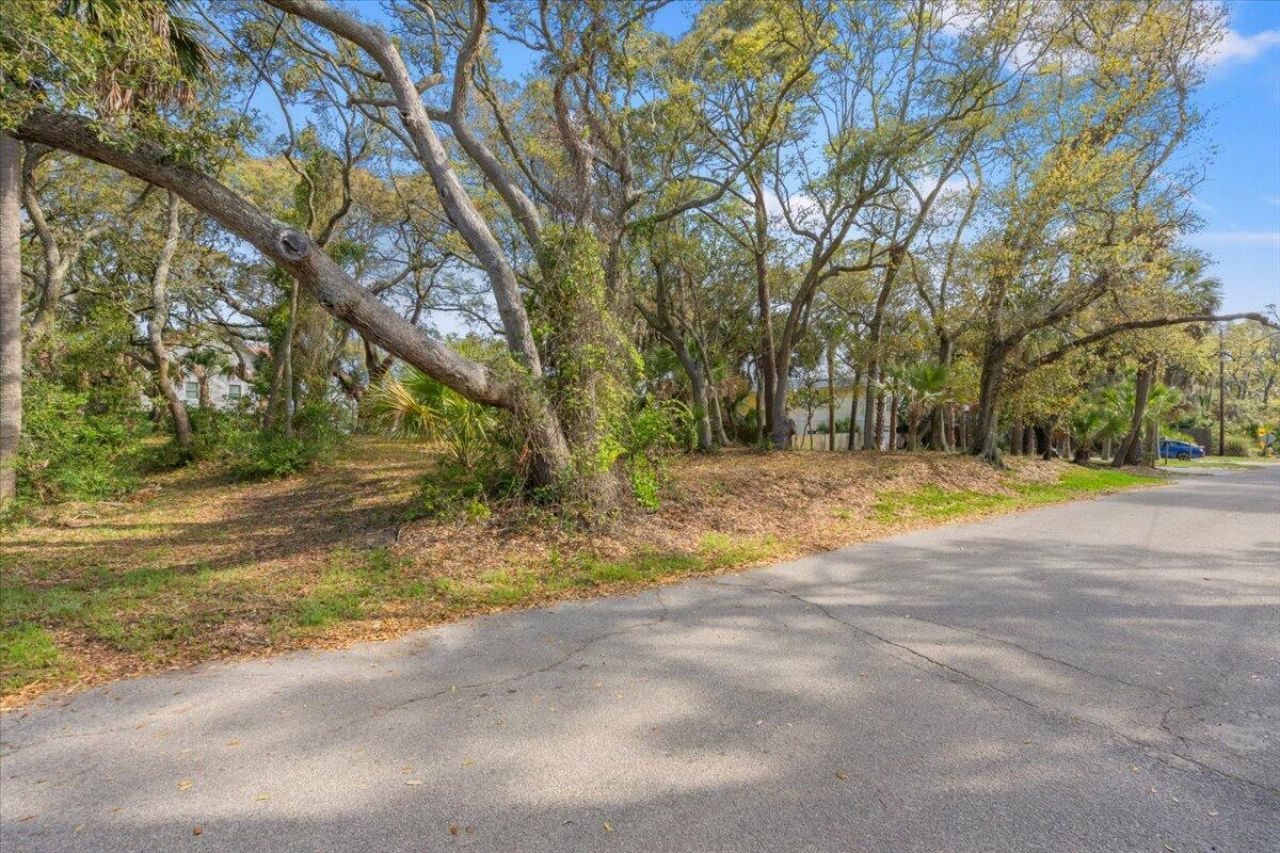 1214 B Tabby Drive Photo 10