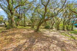 1214 B Tabby Drive photo 4