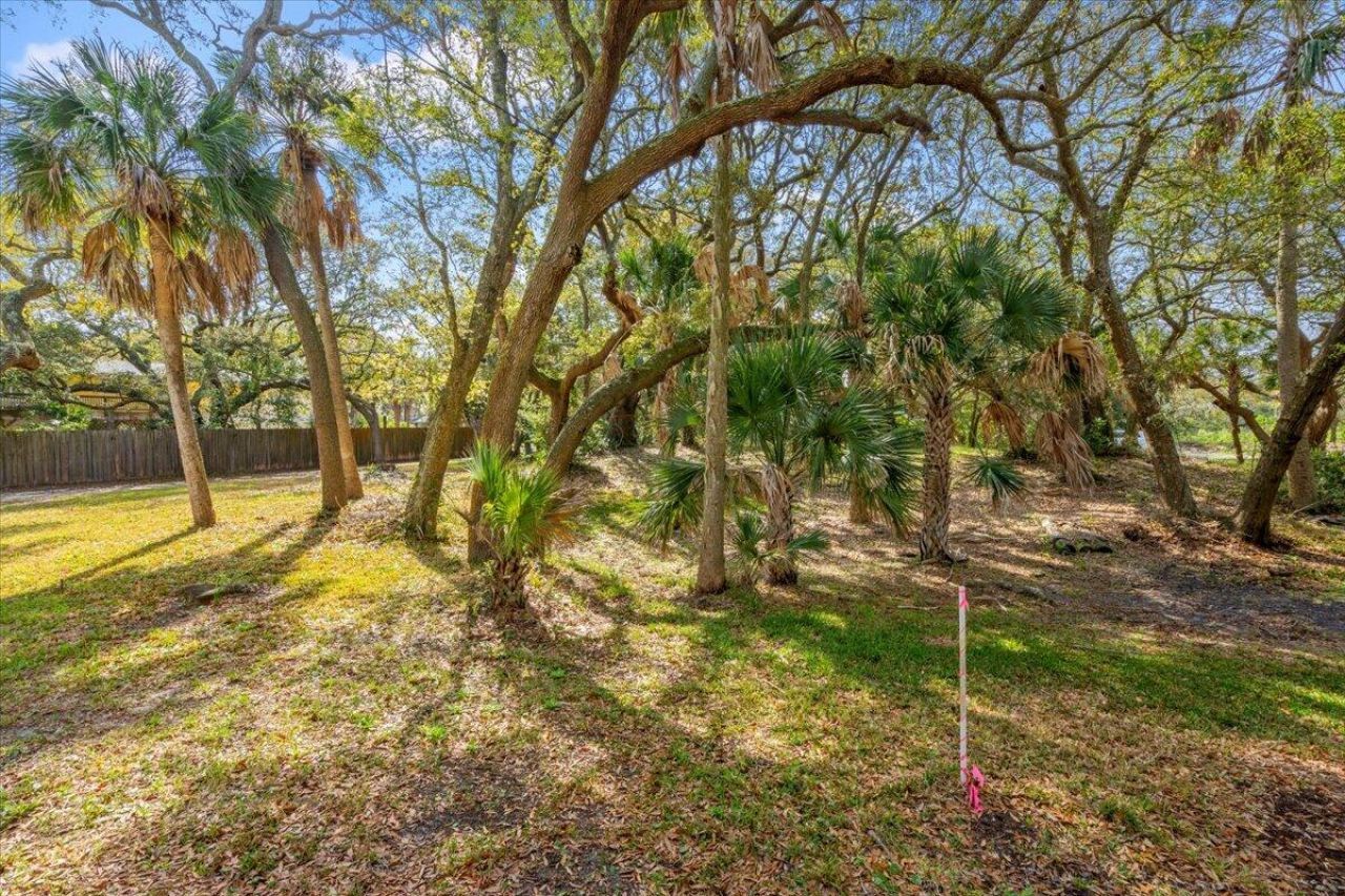 1214 B Tabby Drive Photo 6