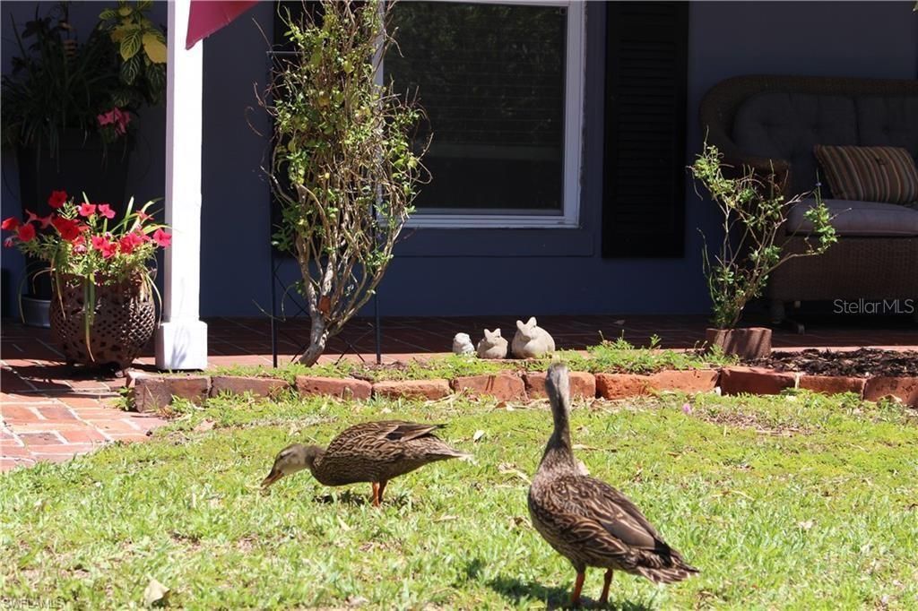 1605 Oakley Avenue, Fort Myers, FL 33901 Photo