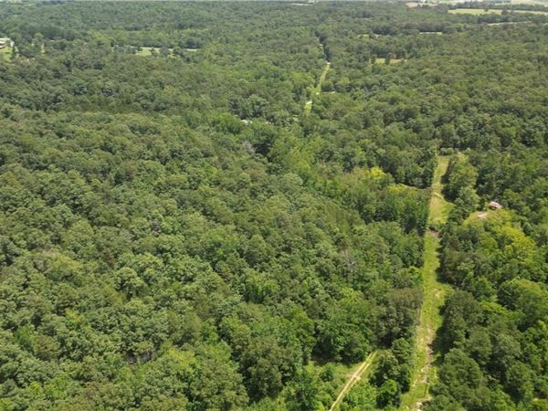 881 Driftwood Drive, Pineville, AR 72566