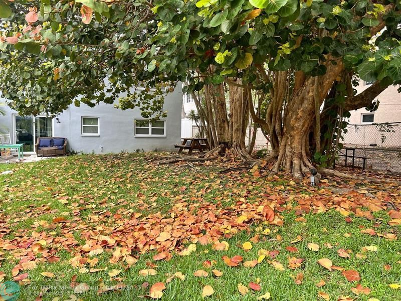 751 Pine Dr, Unit 101, Pompano Beach, FL 33060 Photo