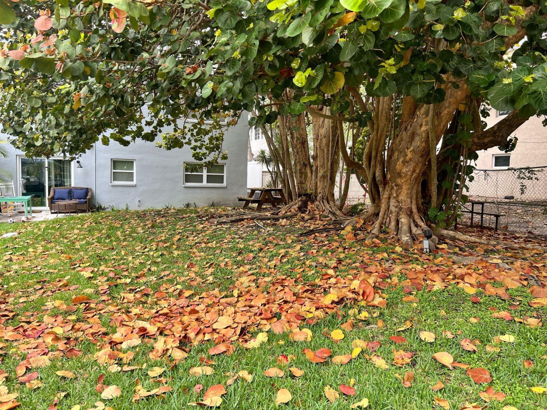 751 Pine Drive, Unit 101, Pompano Beach, FL 33060 Photo