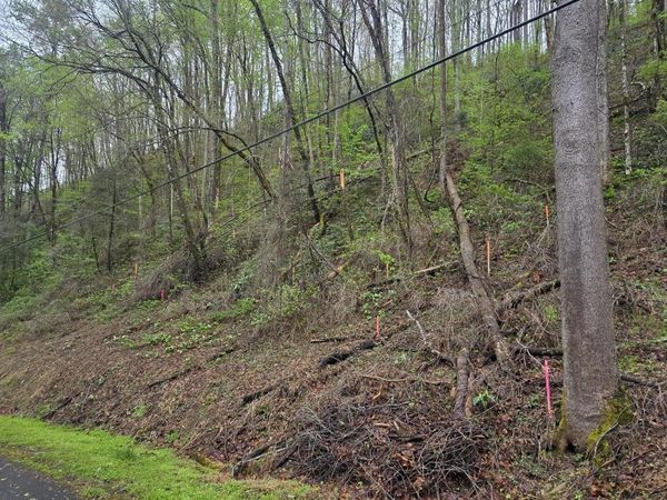 0 Black Walnut Flats Rd, Sevierville, TN 37862