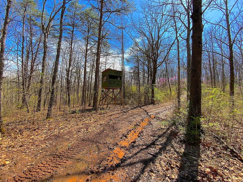 9675 State Route 554, Bidwell, OH 45614 Photo 13