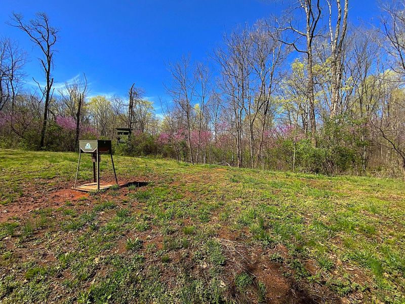 9675 State Route 554, Bidwell, OH 45614 Photo 14