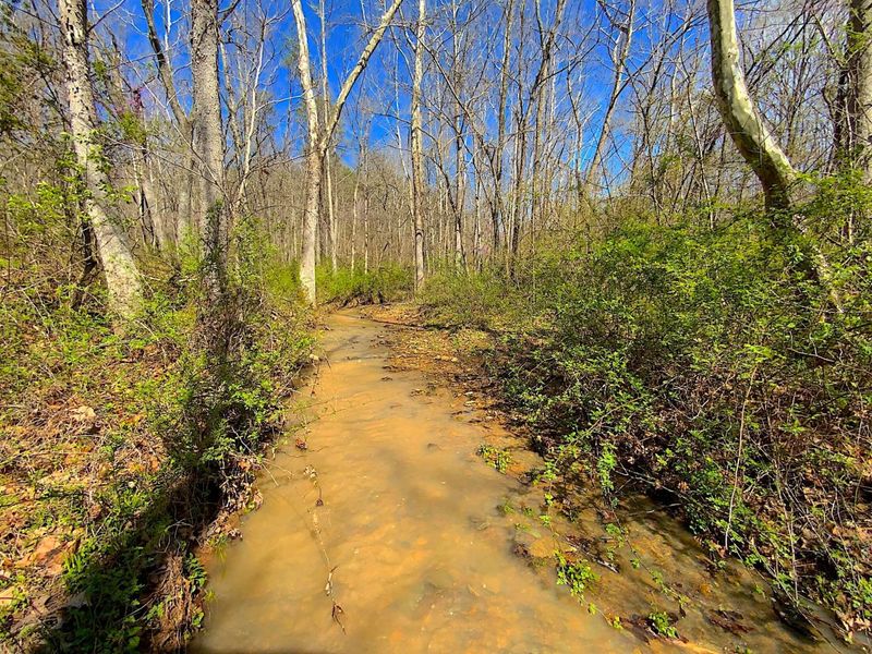 9675 State Route 554, Bidwell, OH 45614 Photo 15