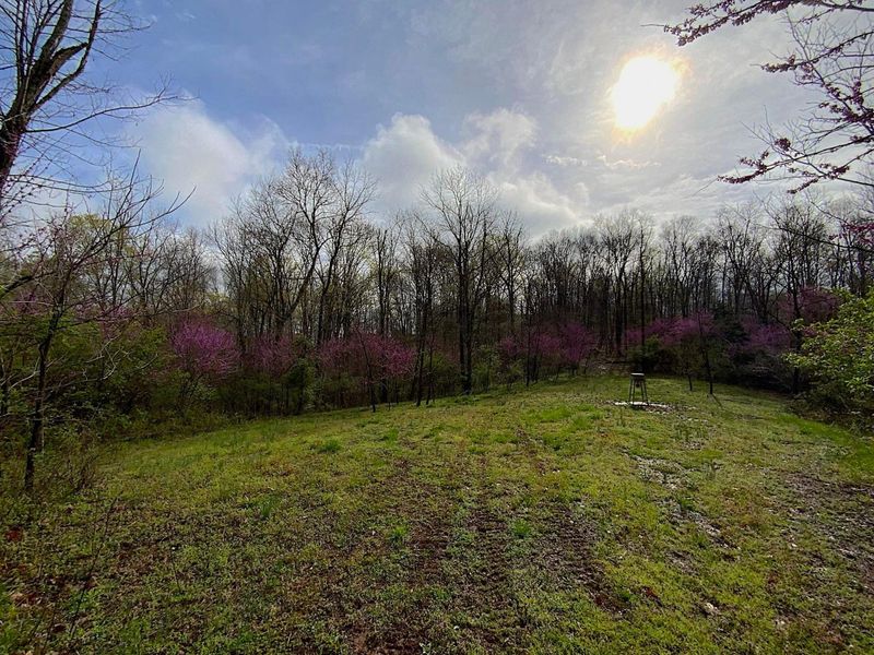 9675 State Route 554, Bidwell, OH 45614 Photo 17