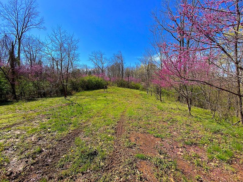 9675 State Route 554, Bidwell, OH 45614 Photo 18