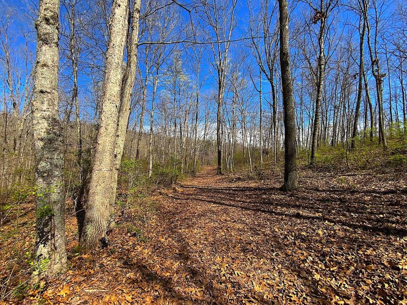 9675 State Route 554, Bidwell, OH 45614 Photo 19