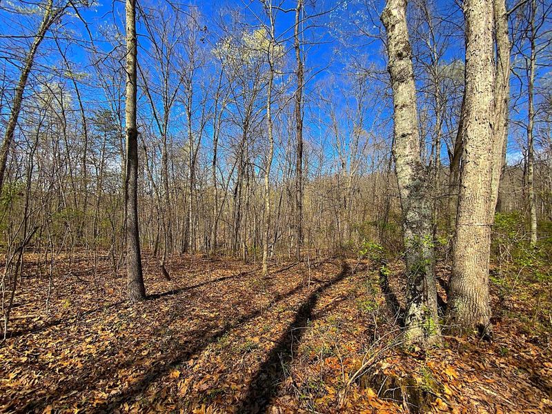 9675 State Route 554, Bidwell, OH 45614 Photo 20