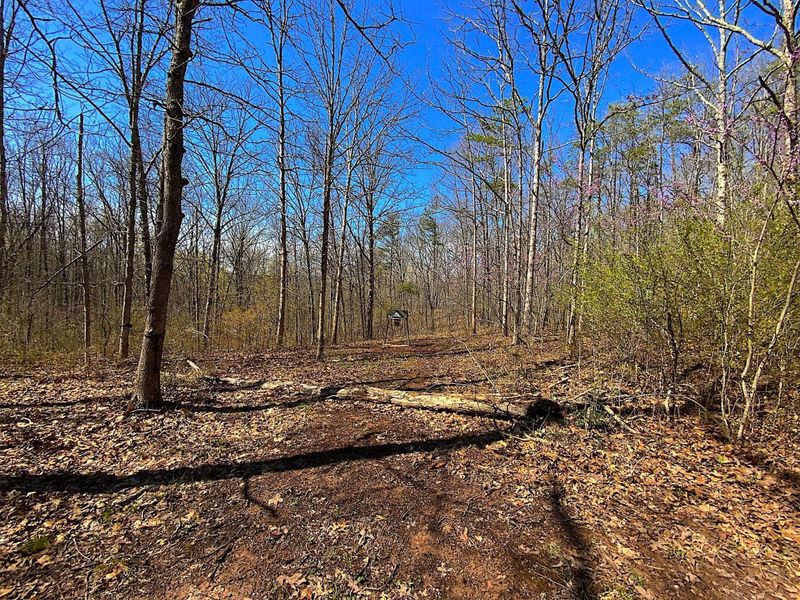 9675 State Route 554, Bidwell, OH 45614 Photo 21