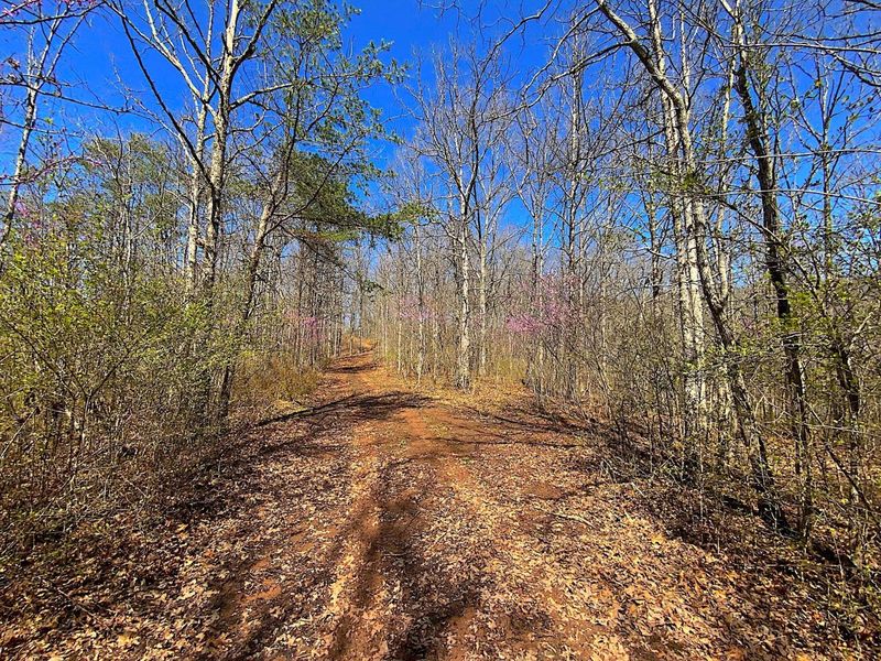 9675 State Route 554, Bidwell, OH 45614 Photo 22