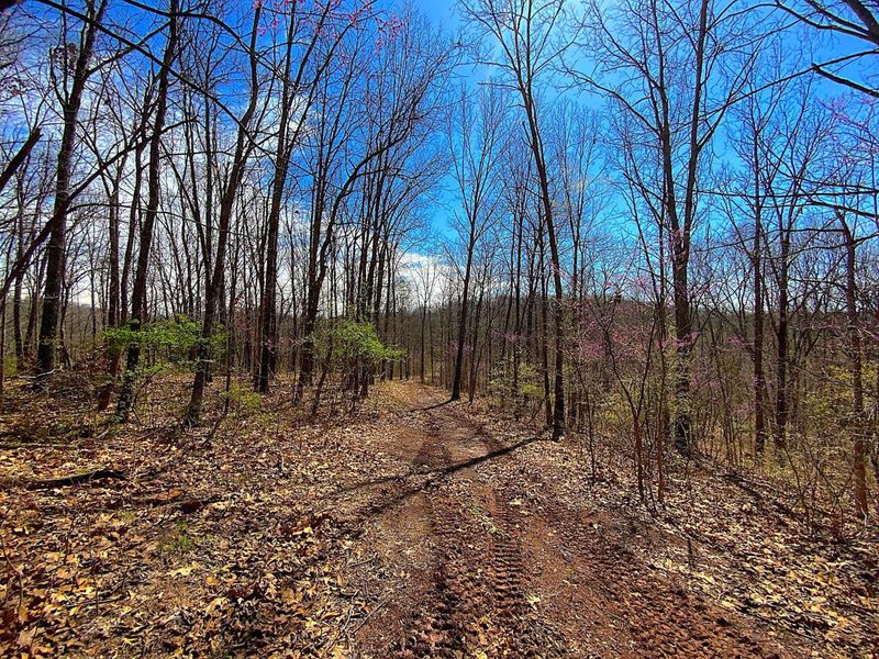 9675 State Route 554, Bidwell, OH 45614 Photo 23