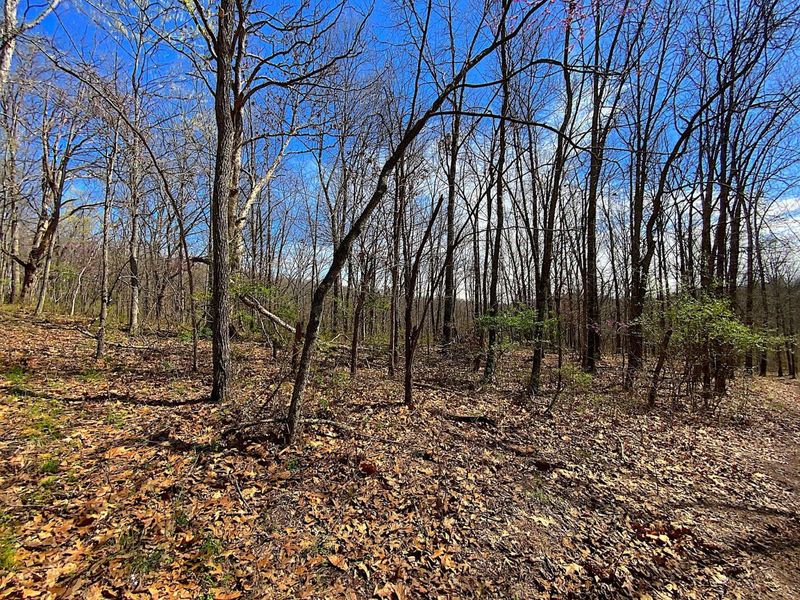 9675 State Route 554, Bidwell, OH 45614 Photo 24