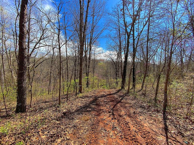 9675 State Route 554, Bidwell, OH 45614 Photo 25