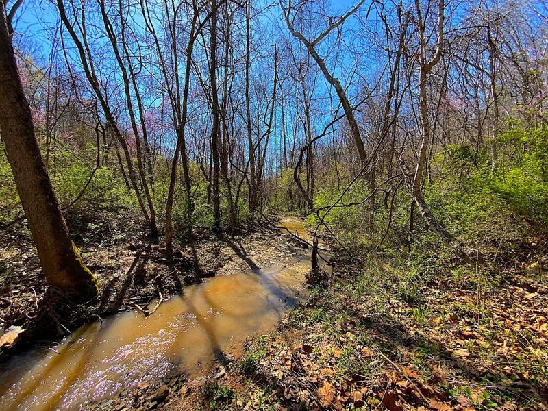 9675 State Route 554, Bidwell, OH 45614 Photo 26