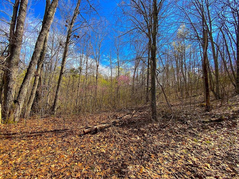 9675 State Route 554, Bidwell, OH 45614 Photo 27