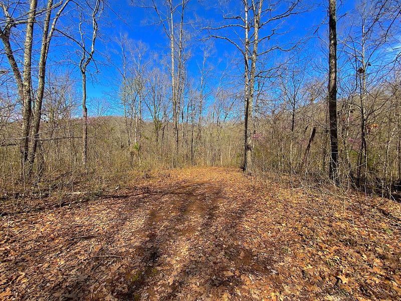 9675 State Route 554, Bidwell, OH 45614 Photo 28