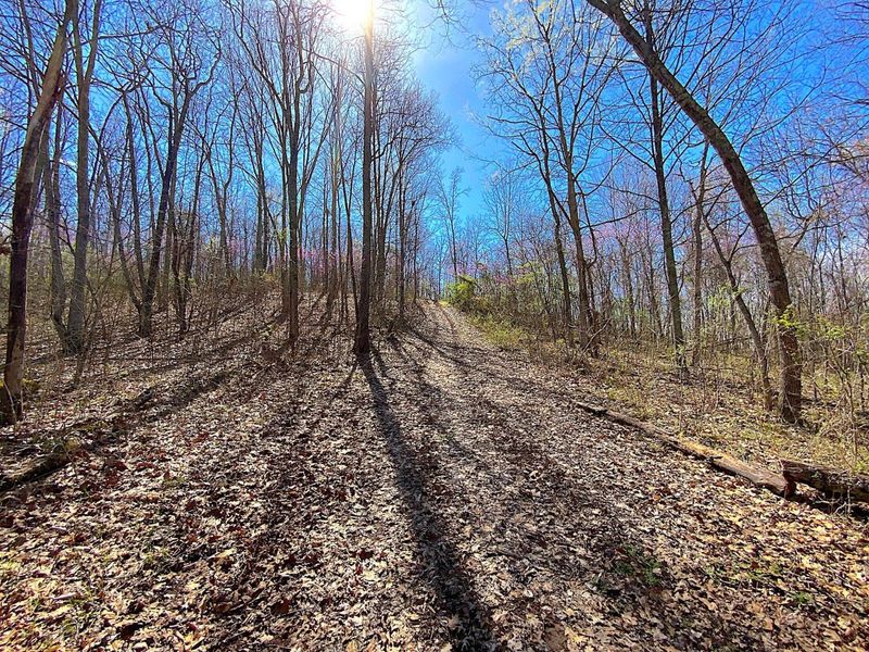 9675 State Route 554, Bidwell, OH 45614 Photo 29