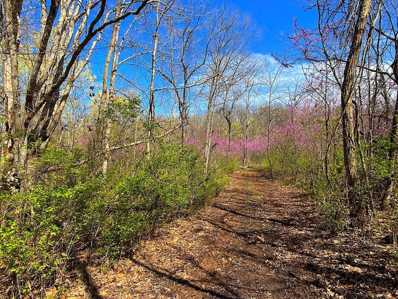 9675 State Route 554, Bidwell, OH 45614 Photo 30