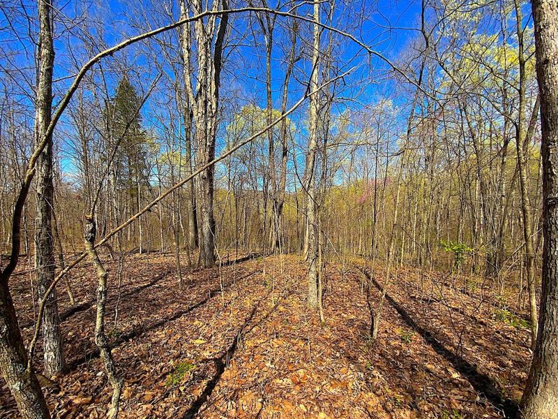 9675 State Route 554, Bidwell, OH 45614 Photo 31