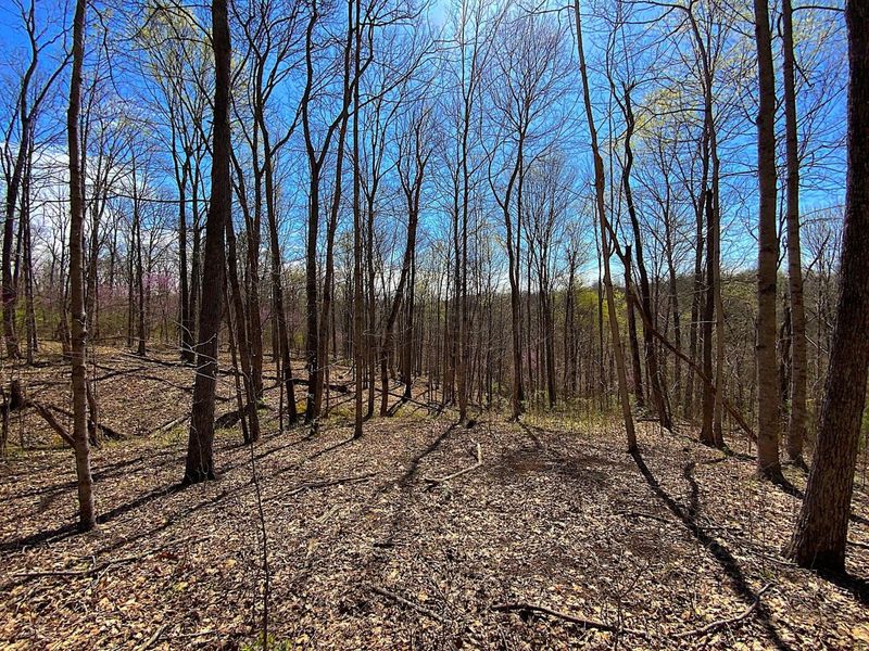 9675 State Route 554, Bidwell, OH 45614 Photo 32