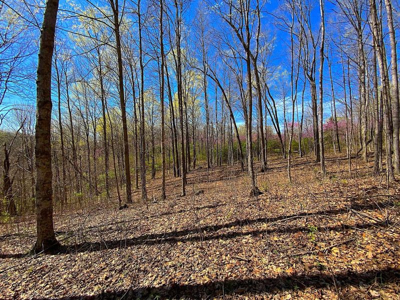 9675 State Route 554, Bidwell, OH 45614 Photo 33