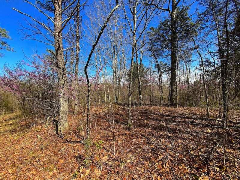 9675 State Route 554, Bidwell, OH 45614 Photo 34