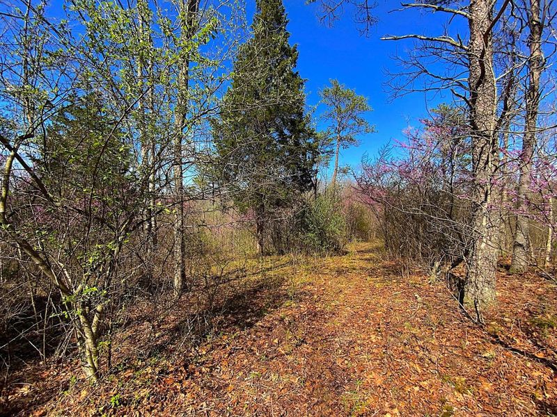 9675 State Route 554, Bidwell, OH 45614 Photo 35