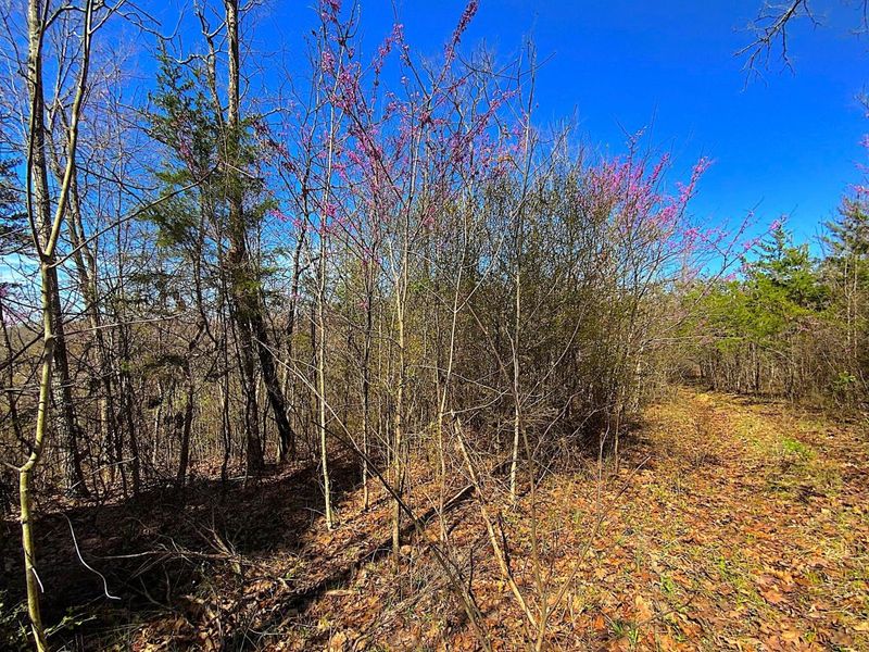 9675 State Route 554, Bidwell, OH 45614 Photo 36